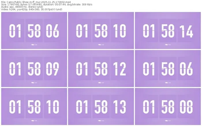 cams-ff_mur-11-25-2025-17-28-32