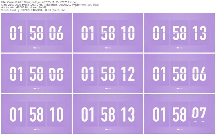 cams-ff_mur-11-25-2025-17-37-12