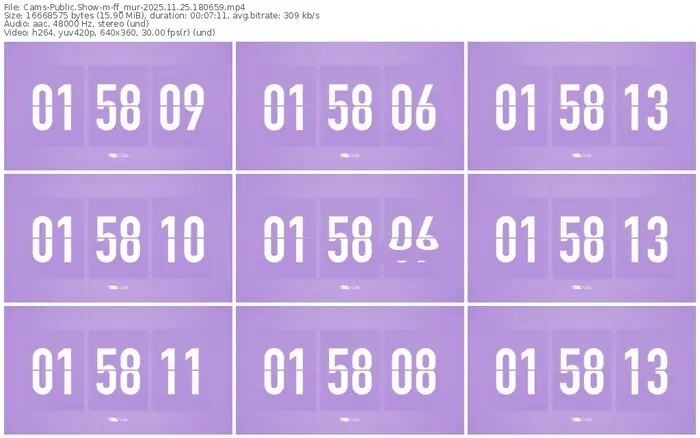 cams-ff_mur-11-25-2025-18-06-59