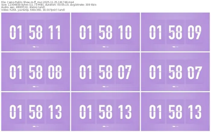 cams-ff_mur-11-25-2025-18-17-48