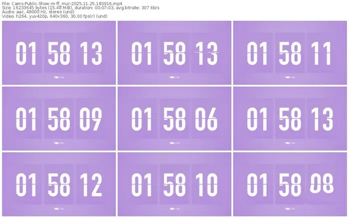 cams-ff_mur-11-25-2025-18-39-16