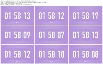 cams-ff_mur-11-25-2025-18-59-03