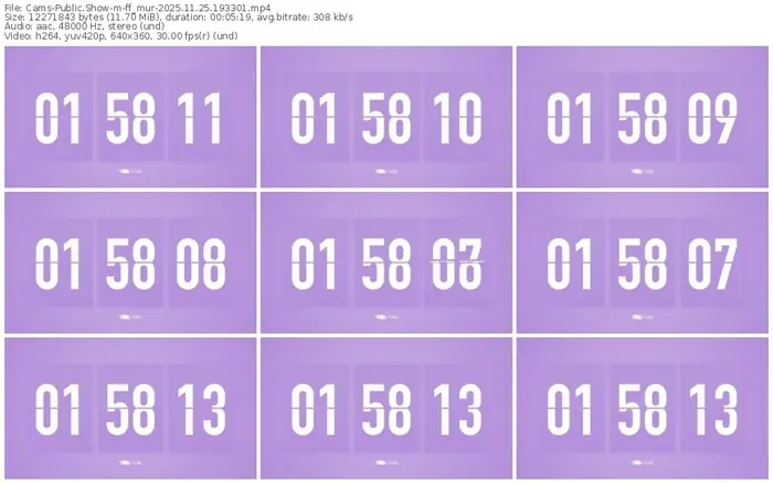 cams-ff_mur-11-25-2025-19-33-01