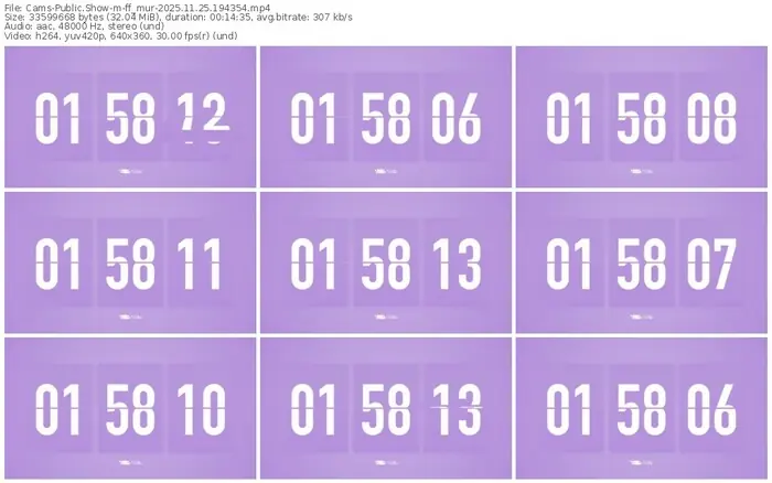 cams-ff_mur-11-25-2025-19-43-54