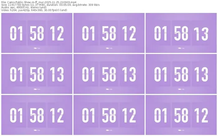 cams-ff_mur-11-25-2025-21-09-03