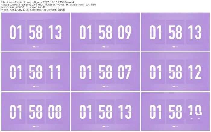 cams-ff_mur-11-25-2025-21-50-04
