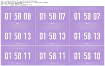 cams-ff_mur-11-25-2025-23-07-44