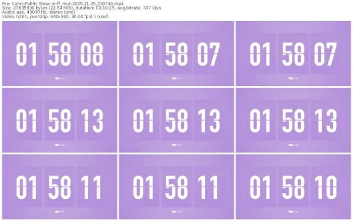 cams-ff_mur-11-25-2025-23-07-44