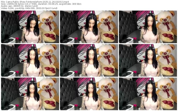 cams-antonelafiore-11-26-2025-03-19-13