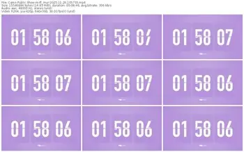 cams-ff_mur-11-26-2025-10-57-55