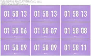 cams-ff_mur-11-26-2025-13-56-38