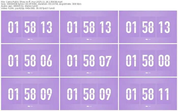 cams-ff_mur-11-26-2025-13-56-38