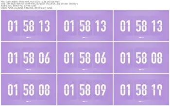 cams-ff_mur-11-26-2025-16-15-16