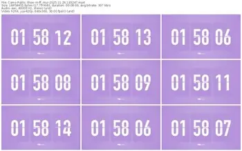 cams-ff_mur-11-26-2025-18-32-47