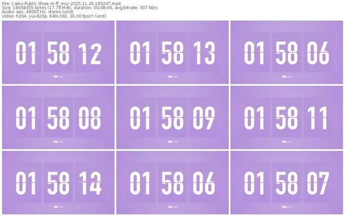 cams-ff_mur-11-26-2025-18-32-47