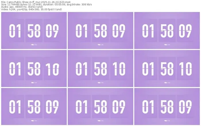 cams-ff_mur-11-26-2025-21-16-23