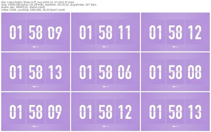 cams-ff_mur-11-27-2025-01-01-37