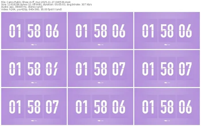 cams-ff_mur-11-27-2025-04-05-39