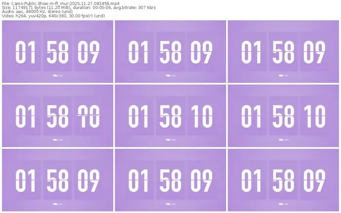 cams-ff_mur-11-27-2025-08-34-58