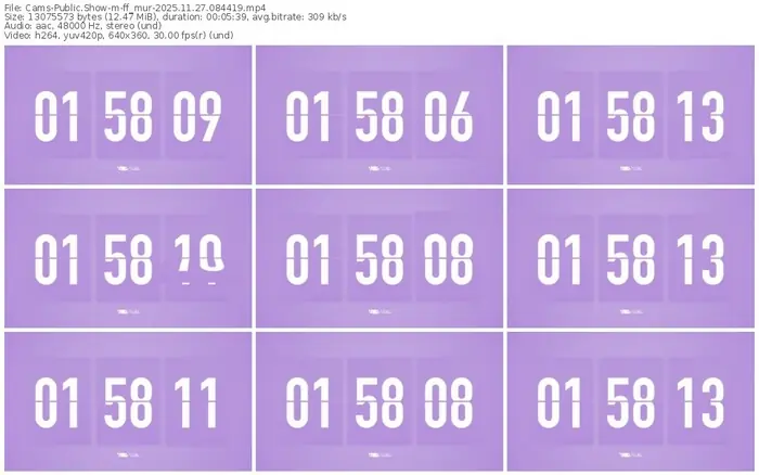 cams-ff_mur-11-27-2025-08-44-19