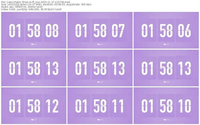 cams-ff_mur-11-27-2025-11-57-59