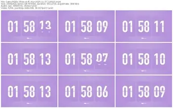 cams-ff_mur-11-27-2025-12-05-15