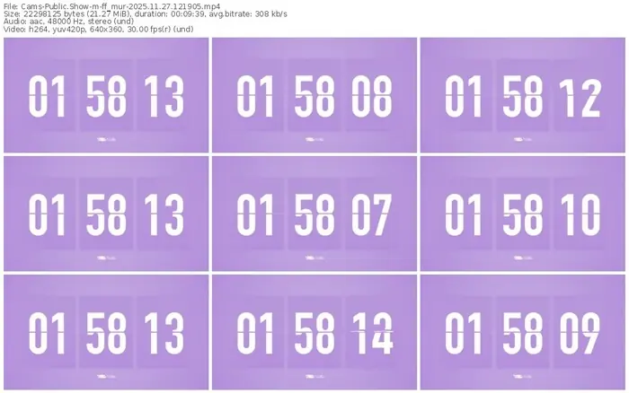 cams-ff_mur-11-27-2025-12-19-05