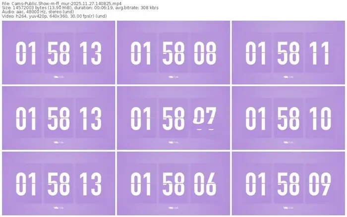 cams-ff_mur-11-27-2025-14-08-25