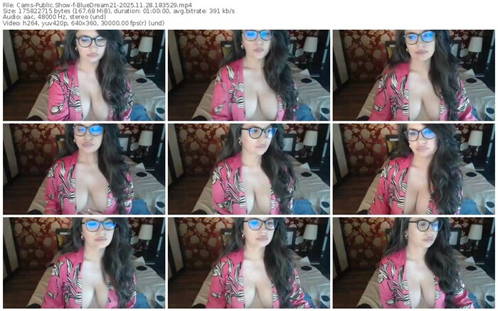 cams-bluedream21-11-28-2025-18-35-29