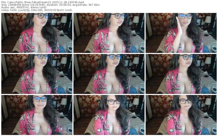 cams-bluedream21-11-28-2025-19-35-36