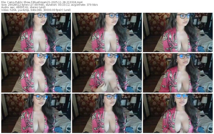 cams-bluedream21-11-28-2025-21-33-18