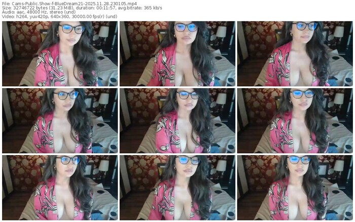 cams-bluedream21-11-28-2025-23-01-05