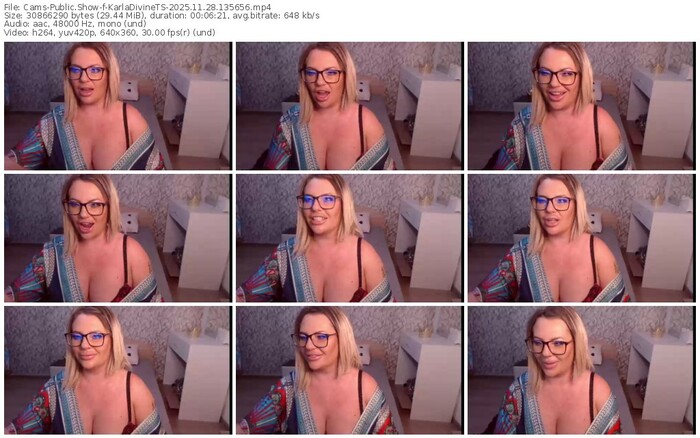 cams-karladivinets-11-28-2025-13-56-56