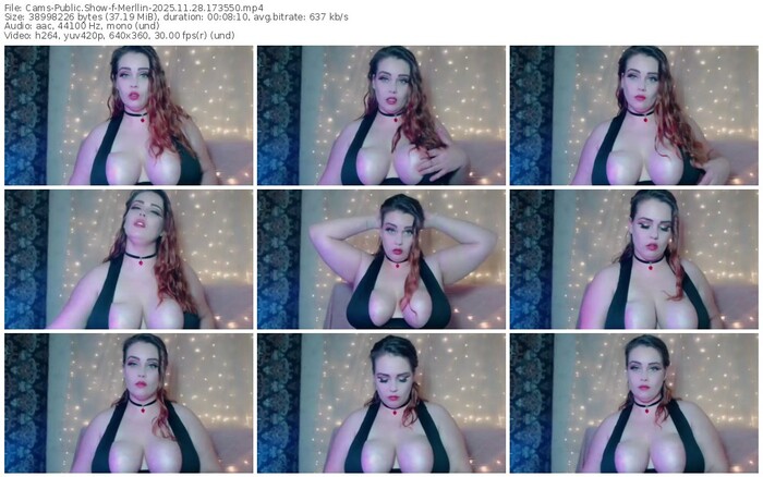 cams-merllin-11-28-2025-17-35-50