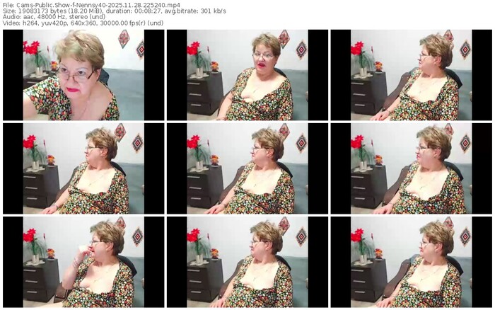 cams-nennsy40-11-28-2025-22-52-40