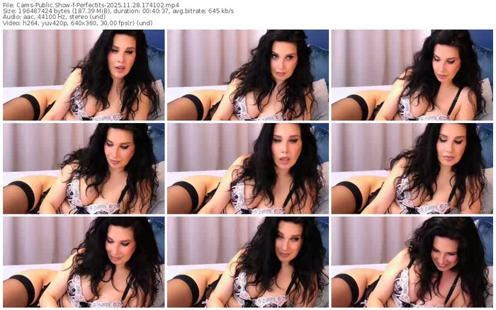 cams-perfectits-11-28-2025-17-41-02