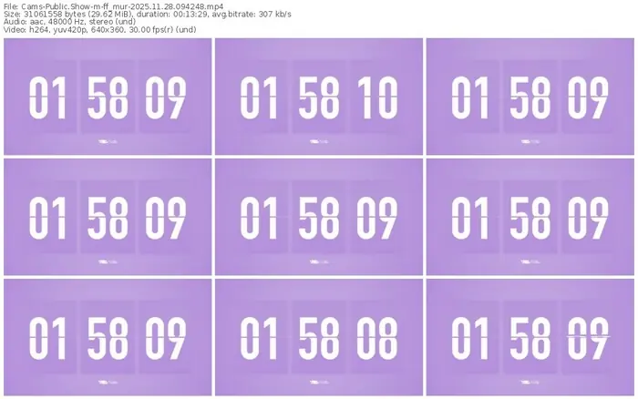 cams-ff_mur-11-28-2025-09-42-48