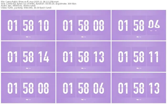 cams-ff_mur-11-28-2025-11-12-58