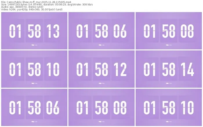 cams-ff_mur-11-28-2025-11-56-05