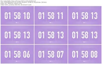 cams-ff_mur-11-28-2025-12-02-39