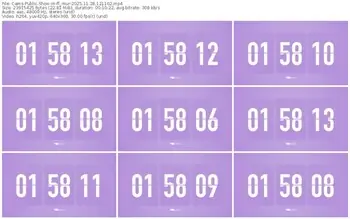 cams-ff_mur-11-28-2025-12-11-02