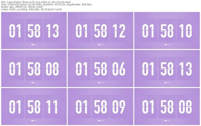 cams-ff_mur-11-28-2025-12-11-02