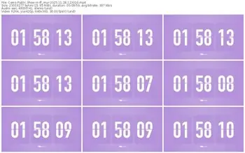 cams-ff_mur-11-28-2025-12-30-10