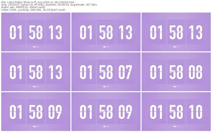 cams-ff_mur-11-28-2025-12-30-10
