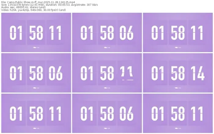 cams-ff_mur-11-28-2025-12-41-25