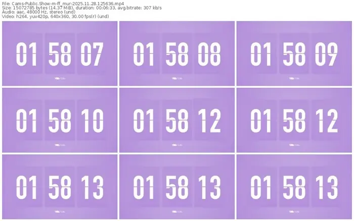 cams-ff_mur-11-28-2025-12-56-36