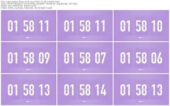 cams-ff_mur-11-28-2025-13-03-07