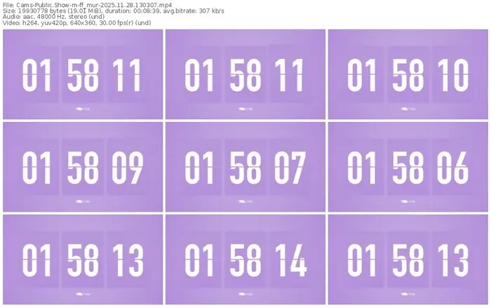 cams-ff_mur-11-28-2025-13-03-07