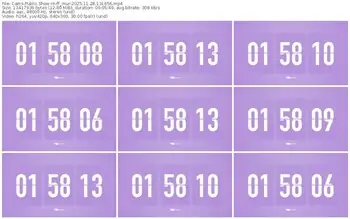 cams-ff_mur-11-28-2025-13-16-56