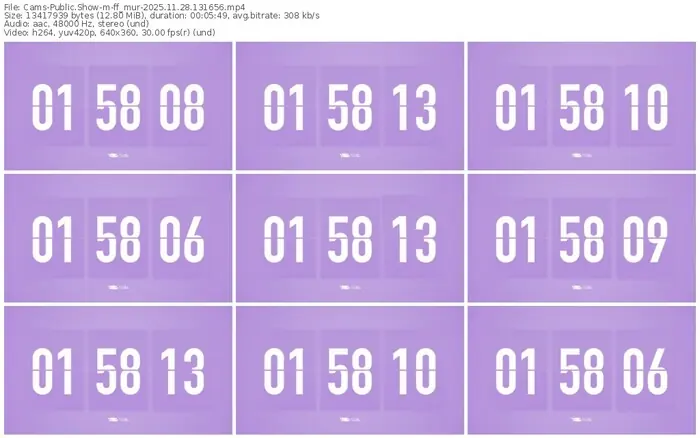 cams-ff_mur-11-28-2025-13-16-56